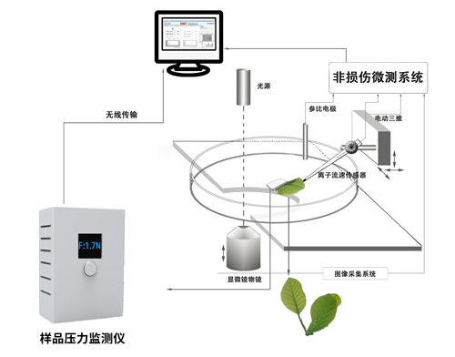 样品压力监测仪