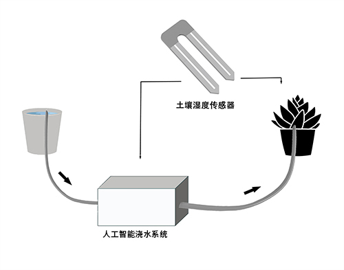 智能浇水系统