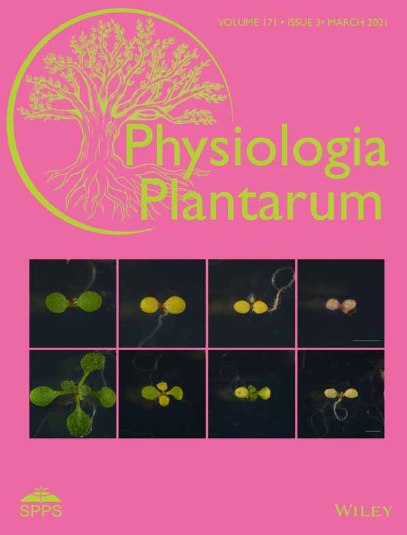 Physiol Plantarum内大王迎春：NMT发现外源MeJA可促白刺根排Na+降低Na/K比缓解盐胁迫