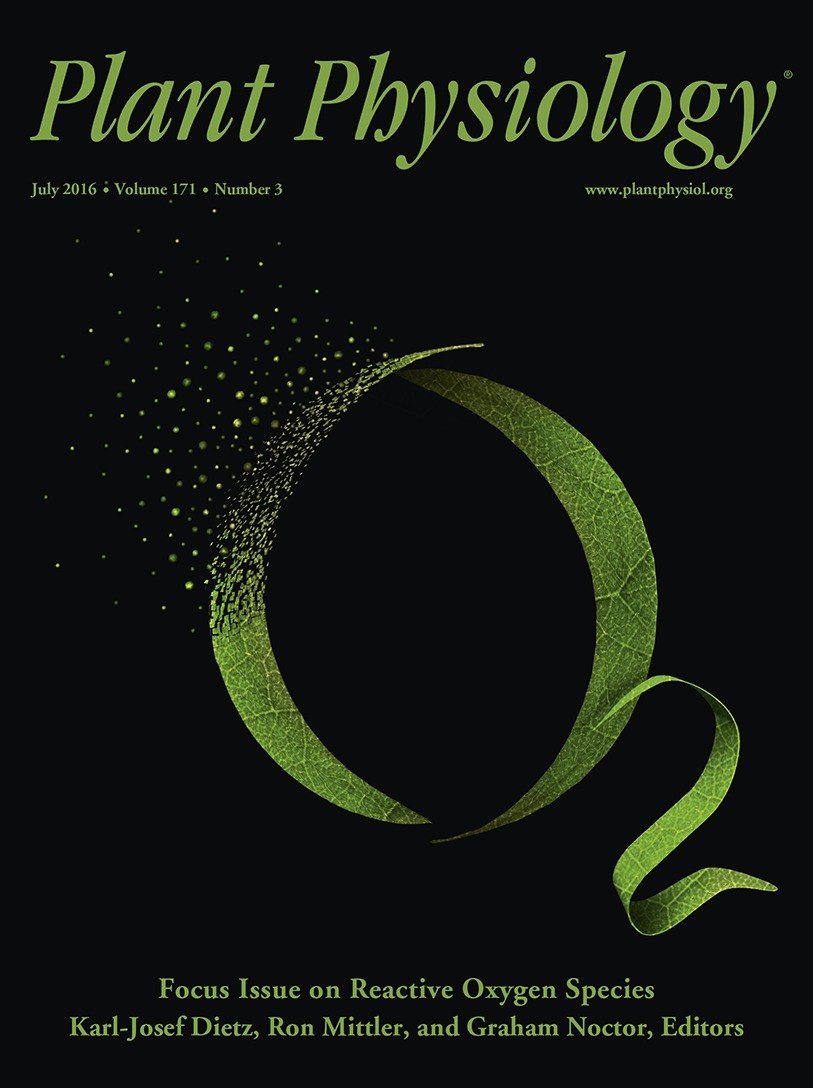 Plant Physiol ：山东大学、山东省农科院丨线粒体丙酮酸载体调控植物耐镉的机理（附NMT实验体系）