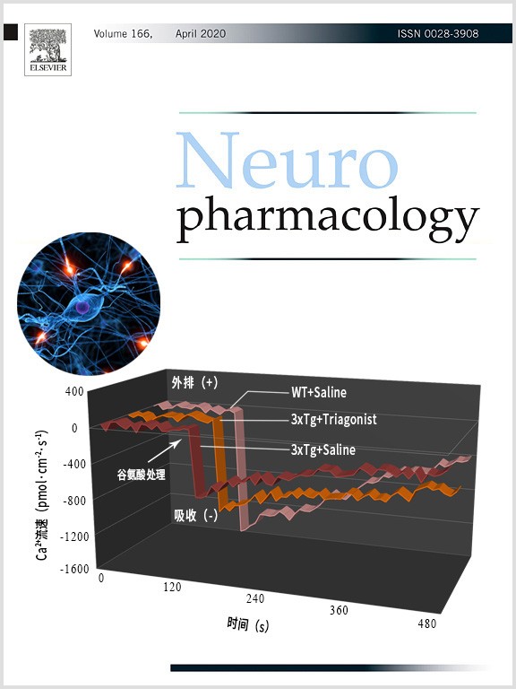 NMT证实抗T2DM药物维持钙稳态缓解A-beta毒性