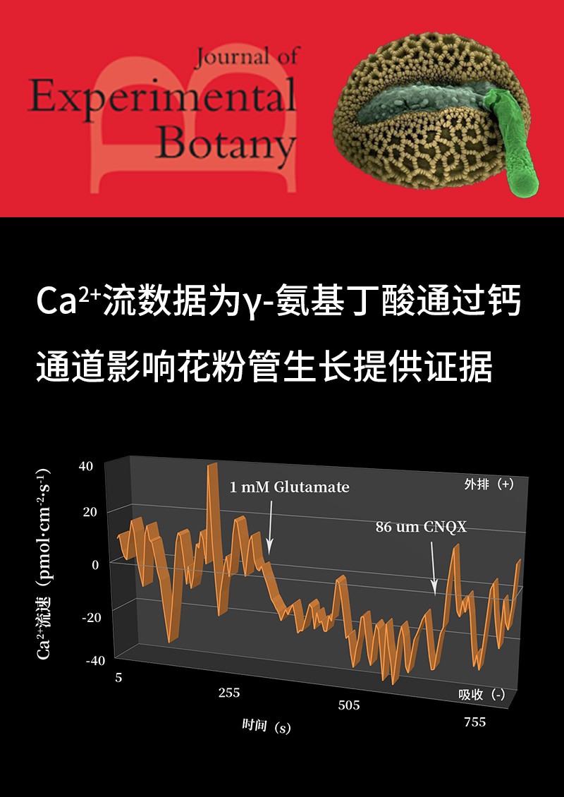 Ca2+流数据为γ-氨基丁酸通过钙通道影响花粉管生长提供证据
