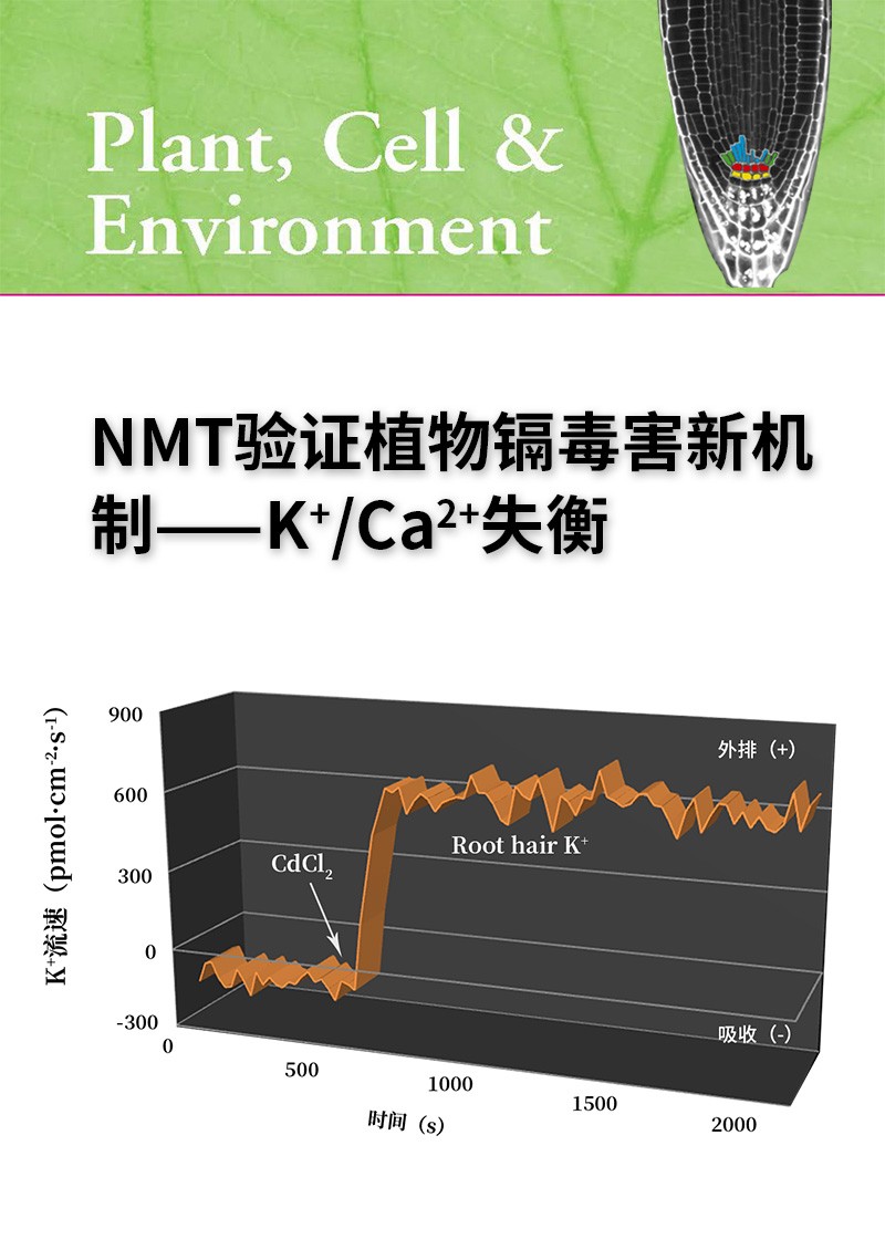 NMT验证植物镉毒害新机制——K+/Ca2+失衡