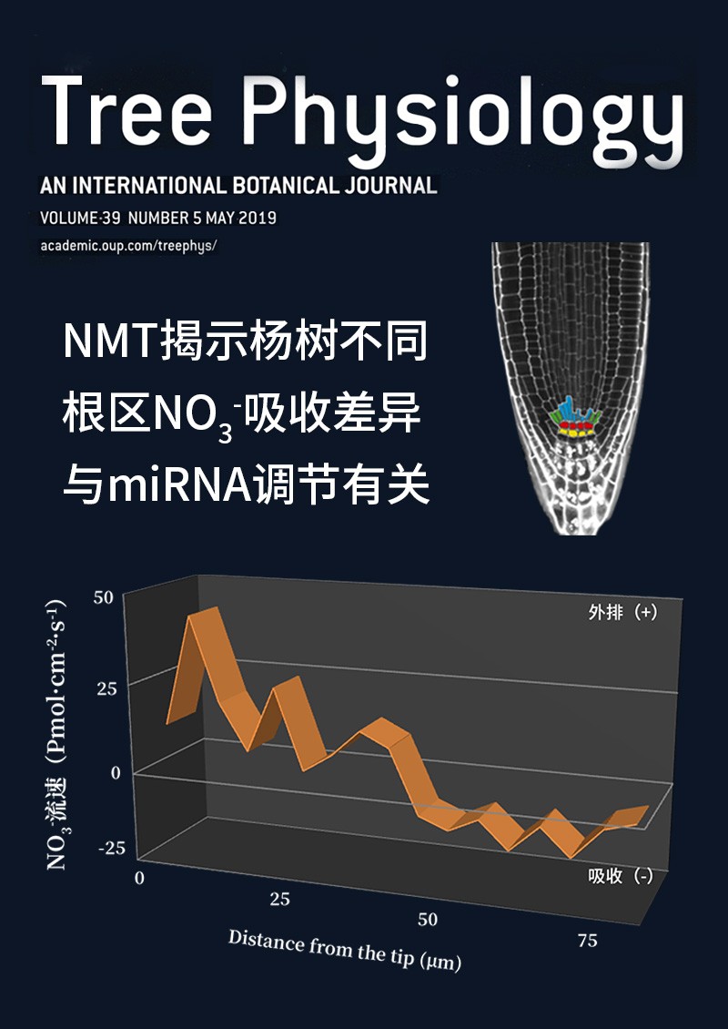 NMT揭示杨树不同根区NO3-吸收差异与miRNA调节有关