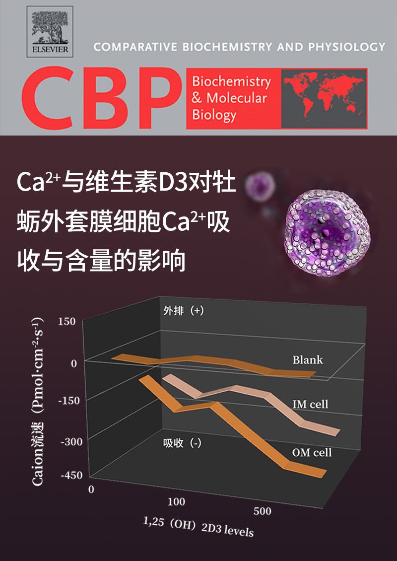 Ca2+与维生素D3对牡蛎外套膜细胞Ca2+吸收与含量的影响
