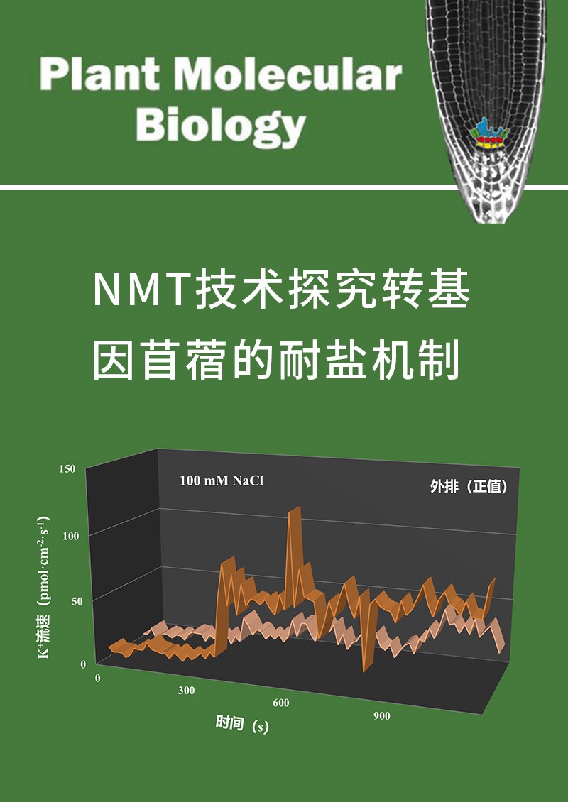 NMT技术探究转基因苜蓿的耐盐机制