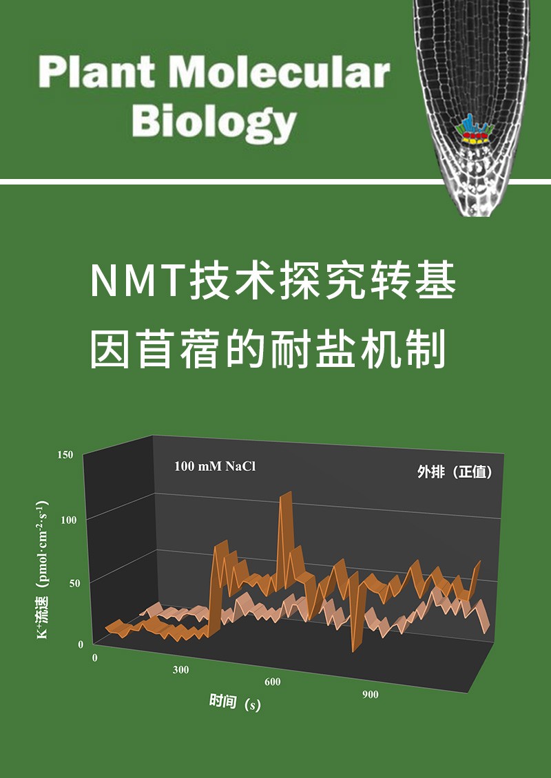 NMT技术探究转基因苜蓿的耐盐机制