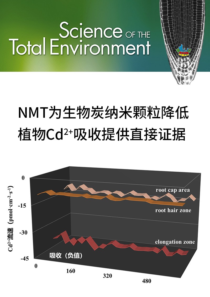 NMT为生物炭纳米颗粒降低植物Cd2+吸收提供直接证据