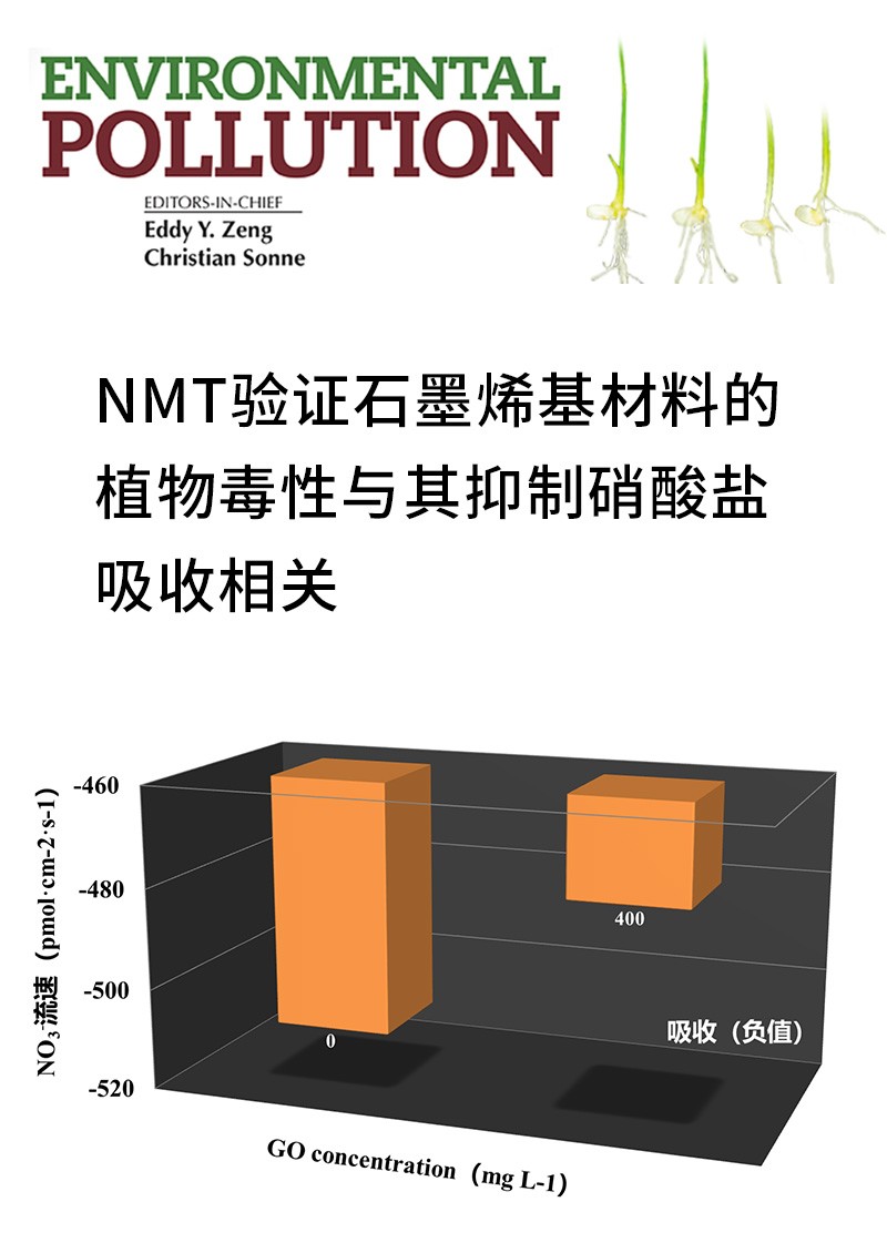NMT验证石墨烯基材料的植物毒性与其抑制硝酸盐吸收相关