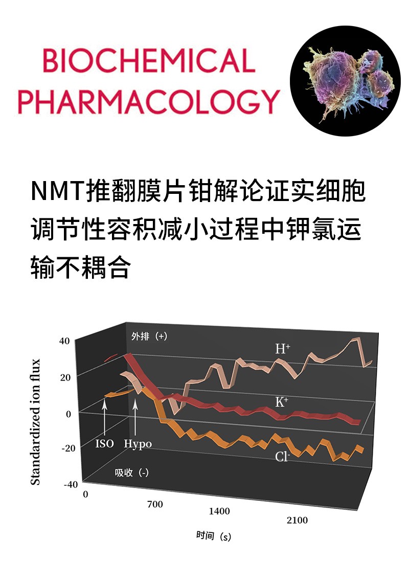 NMT推翻膜片钳解论证实细胞调节性容积减小过程中钾氯运输不耦合