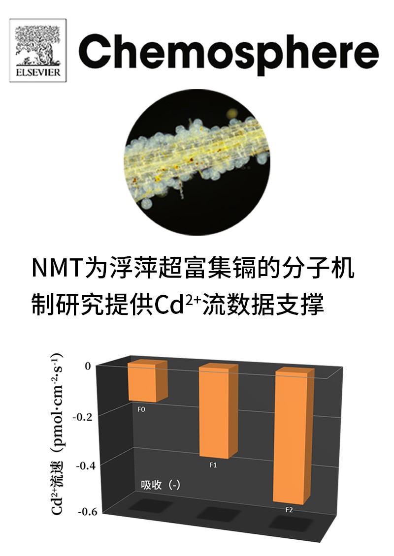 NMT为浮萍超富集镉的分子机制研究提供Cd2+流数据支撑