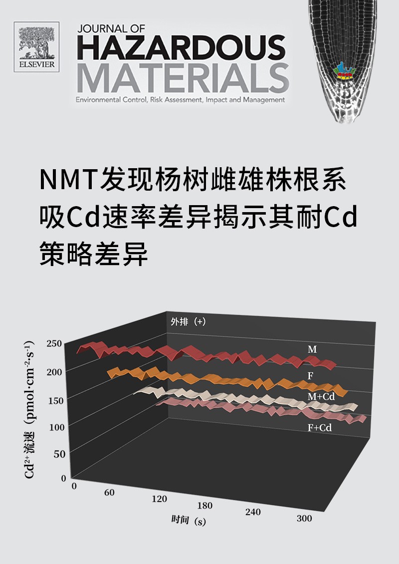 NMT发现杨树雌雄株根系吸Cd速率差异揭示其耐Cd策略差异