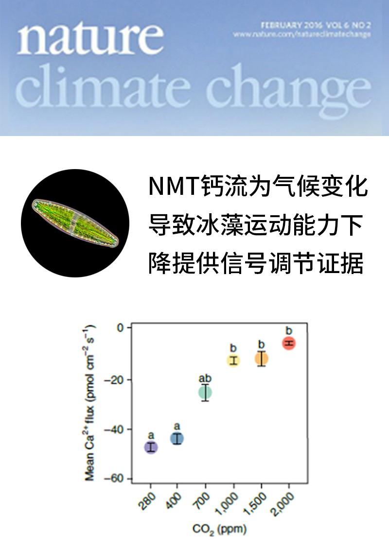 NMT钙流为气候变化导致冰藻运动能力下降提供信号调节证据