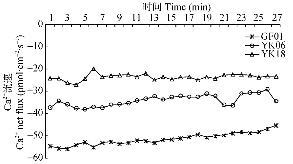 ganhanxiepo6