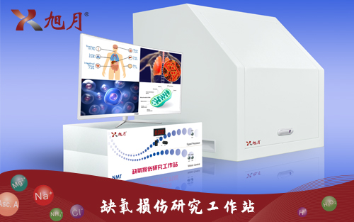 缺氧损伤研究工作站