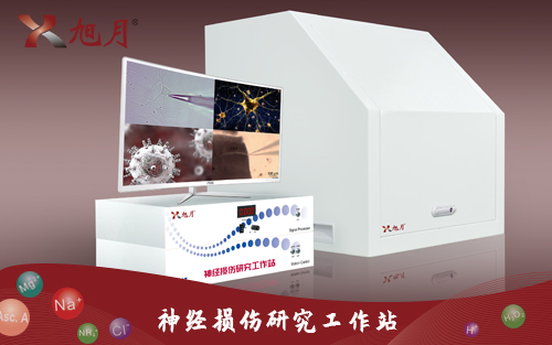 神经损伤研究工作站
