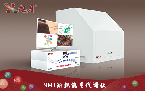 NMT组织能量代谢仪