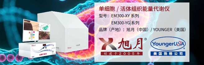 单细胞/活体组织能量代谢仪