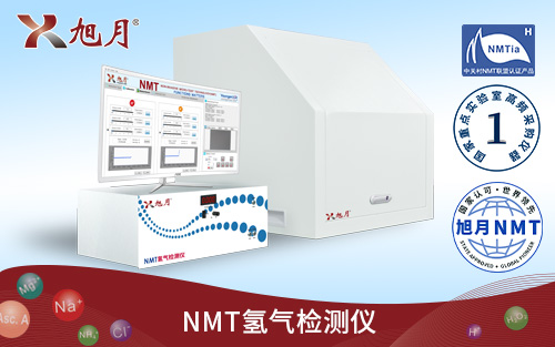 NMT氢气检测仪